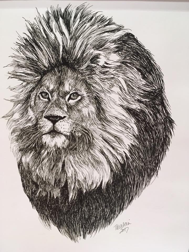 Lion Au Stylo Bille, Drawing by Karine Lambert | Artmajeur